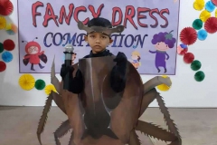 Fancy-dress-competition-9