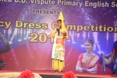 Fancy-Dress-competition-2018-3