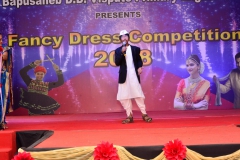 Fancy-Dress-competition-2018-4