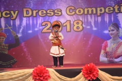 Fancy-Dress-competition-2018-5