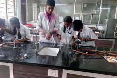 Science-Lab-7